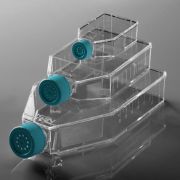 Флакон культуральный 25 см² Флакон культуральный 25 см²