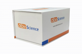 Набор для ИФА BSA, 96 тестов, abinScience