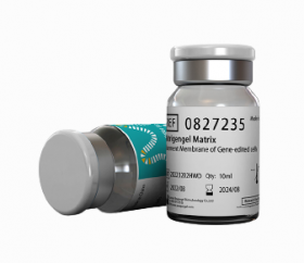 Матригенгель с низким содержанием факторов роста, без фенолового красного, 10 мл, ABW Матригенгель с низким содержанием факторов роста, без фенолового красного, 10 мл, ABW