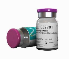 Матригенгель с низким содержанием факторов роста, 10 мл, ABW Матригенгель с низким содержанием факторов роста, 10 мл, ABW