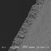 Мембраны 0,2 мкм, PCTE Poretics, чёрные Мембраны 0,2 мкм, PCTE Poretics, чёрные