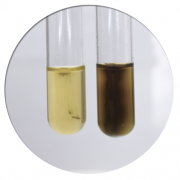 Среда Пизу Среда Пизу