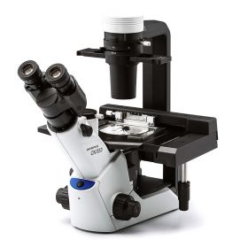 Микроскоп лабораторный инвертированный CKX53