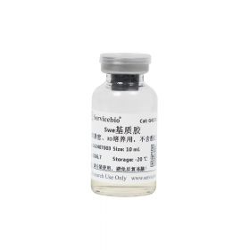 Матригенгель для органоидов и 3D-культивирования, без фенолового красного, 10 мл, Servicebio Матригенгель для органоидов и 3D-культивирования, без фенолового красного, 10 мл, Servicebio