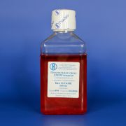 Среда ДМЕМ с аланил-глутамином, содержание глюкозы 4,5 г/л, 500 мл, евро-ПЭТ Среда ДМЕМ с аланил-глутамином, содержание глюкозы 4,5 г/л, 500 мл, евро-ПЭТ