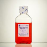 Среда DMEM/F-12, без глутамина Среда DMEM/F-12, без глутамина