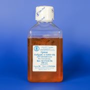 Среда ГибриС-1-CHO-TR для трансфекции без глутамина, 500 мл, ЕвроПЭТ Среда ГибриС-1-CHO-TR для трансфекции без глутамина, 500 мл, ЕвроПЭТ