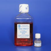 Бессывороточная среда ГибриС-8 490 мл с добавкой 10 мл