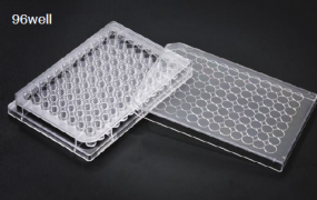 Планшет 96-луночный с V-образным дном, SPL Lifesciences Планшет 96-луночный с V-образным дном, SPL Lifesciences