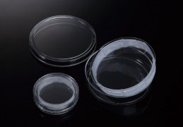 Чашки Петри для Ко-культивирования, 100 мм, стерильные, SPL