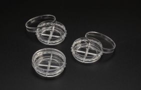 Чашки Петри 35 мм, 4-х секционные, с центральным отверстием Ø25 мм Чашки Петри 35 мм, 4-х секционные, с центральным отверстием Ø25 мм