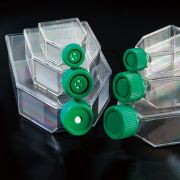 Флакон культуральный, 75 см², стерильный, SPL