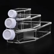 Флакон культуральный, 25 см², стерильный, SPL Флакон культуральный, 25 см², стерильный, SPL