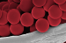 Латексные микросферы, красные, 200 нм, 25 мл, VDO Biotech (QuantoBio)