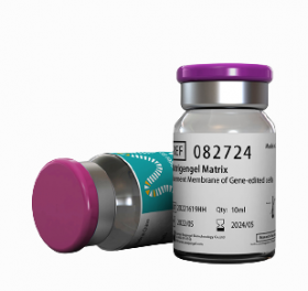 Матригенгель высококонцентрированный, 10 мл, ABW Матригенгель высококонцентрированный, 10 мл, ABW