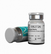 Матригенгель высококонцентрированный, без фенолового красного, 10 мл, ABW