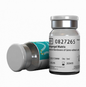 Матригенгель высококонцентрированный, без фенолового красного, 5 мл, ABW Матригенгель высококонцентрированный, без фенолового красного, 5 мл, ABW