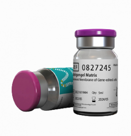 Матригенгель высококонцентрированный, 5 мл, ABW Матригенгель высококонцентрированный, 5 мл, ABW