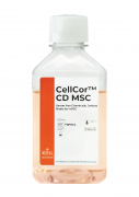 CellCor™ CD MSC химически определенная бессывороточная среда для мезенхимальных стволовых клеток человека, 500 мл, XCELL CellCor™ CD MSC химически определенная бессывороточная среда для мезенхимальных стволовых клеток человека, 500 мл, XCELL