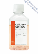 CellCor™ CD MSC химически определенная бессывороточная среда для мезенхимальных стволовых клеток человека, 500 мл, XCELL CellCor™ CD MSC химически определенная бессывороточная среда для мезенхимальных стволовых клеток человека, 500 мл, XCELL